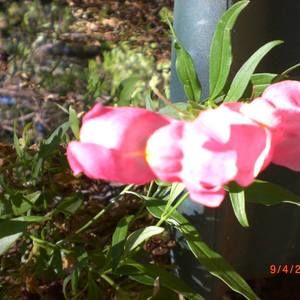 Meet your Posher, Christina